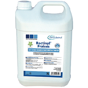 BACTINYL FRAISES 5L